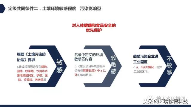 新奥天天精准资料大全与关键释义的落实解析