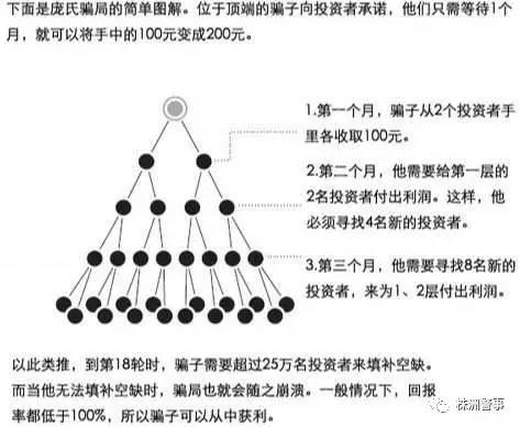 揭秘最准一肖，深度解析权计释义与资料落实之道