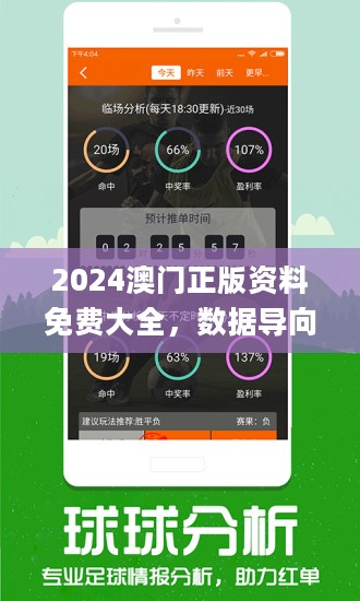 管家婆2024澳门正版资料与个性释义，深度解读与落实策略