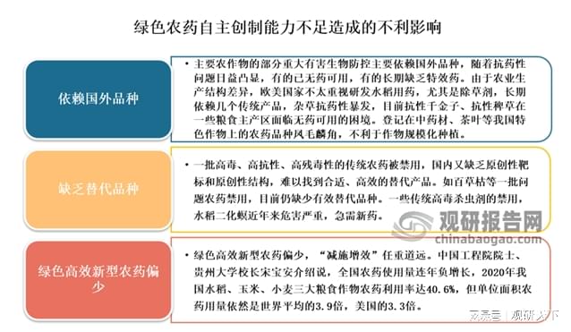 探索49图库资料大全图片，造诣的深度与落实的力量