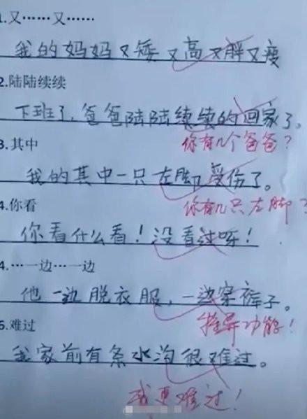 澳门黄大仙特马资料，研发释义解释落实的重要性