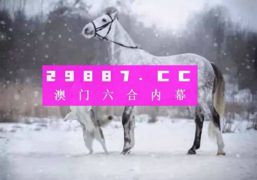 澳门一肖一码，揭秘精准预测与释义落实