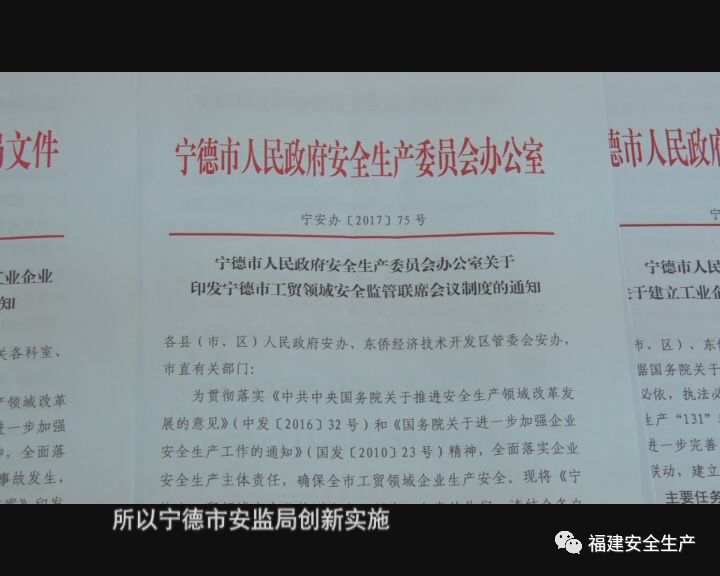 新奥精准资料免费提供第510期，明净释义与落实的深度解析