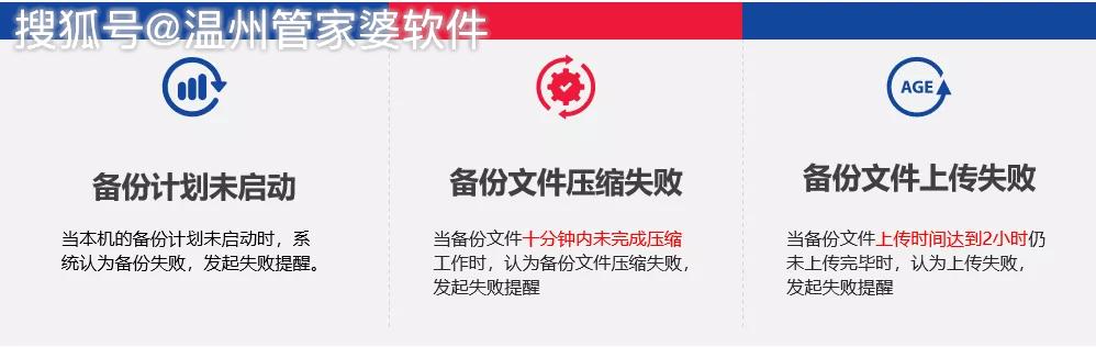 管家婆一肖一码，揭秘精准资料与落实能力的双重保障