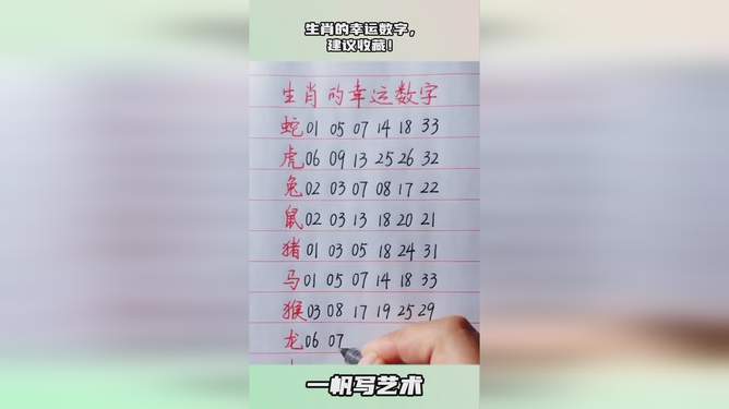 探究十二生肖与数字49的奇妙结合，真挚释义与落实之道