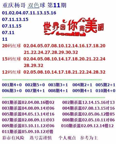 新澳天天彩免费资料查询85期，求精释义、解释与落实