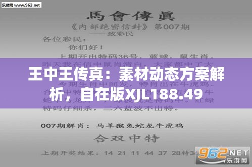 解密数字密码背后的故事，王中王传真与行动落实的缓解释义