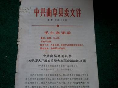 澳门正版资料大全中的歇后语与二意释义，深入解读与落实