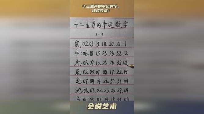 揭秘2024十二生肖与数字49的奇妙联系，进度释义、解释与落实