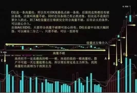 揭秘与分享，2024新奥精准资料免费大全的释义与落实策略