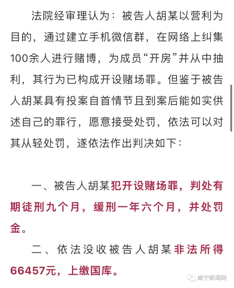 澳门天天开彩大全免费，手册释义解释落实与违法犯罪问题探讨