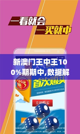 新澳门王中王与外包释义，探索、解释与落实