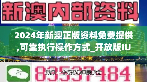 新澳公司2024年免费资料解析与落实释义