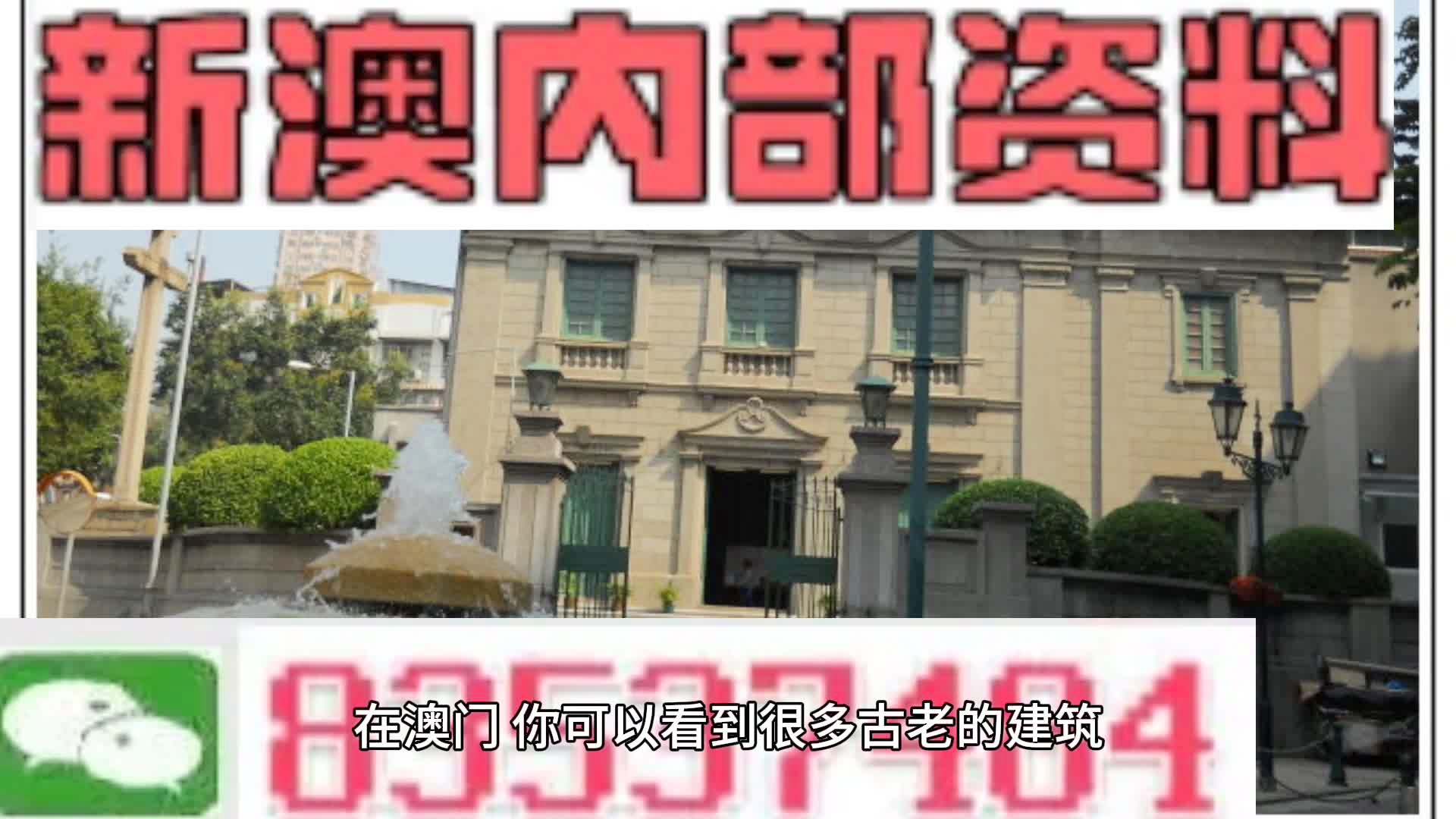 澳门资料精准大全，识见释义、解释与落实的洞察