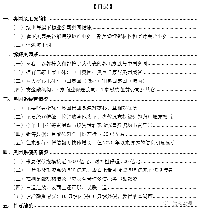 新奥门免费资料，释义解释与落实展望