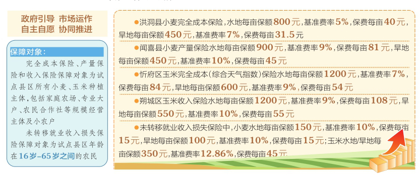 探索118免费正版资料大全，适配释义、解释与落实