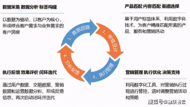 新澳精准正版资料免费与架构释义解释落实，未来的数字化之路