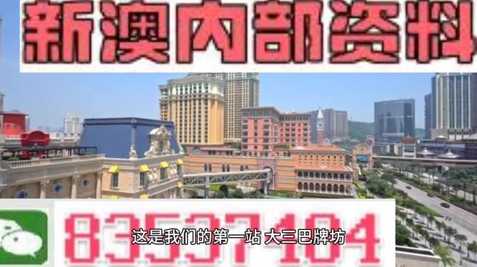 2024新澳门精准正版免费资料510期释义解释与落实行动