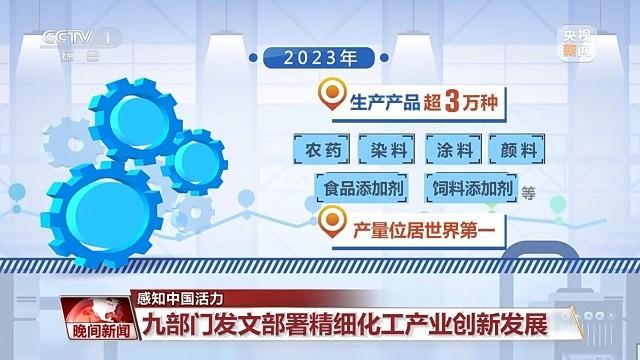 管家婆2024正版资料图95期，化程释义、解释与落实的重要性