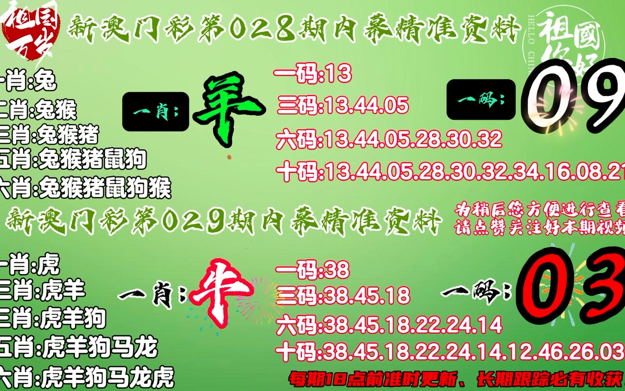 精准一肖一码一子一中，诚实释义、解释与落实