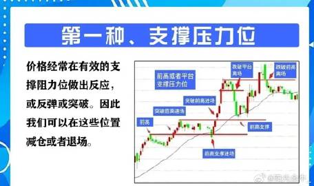 最准一肖一码一一中特，努力释义解释落实的重要性与价值