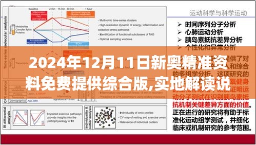 揭秘新奥精准资料免费大全，深度解析与落实策略