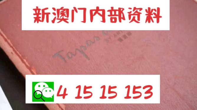 新澳门精准资料大全与管家婆料，效益释义、解释及其实践落实