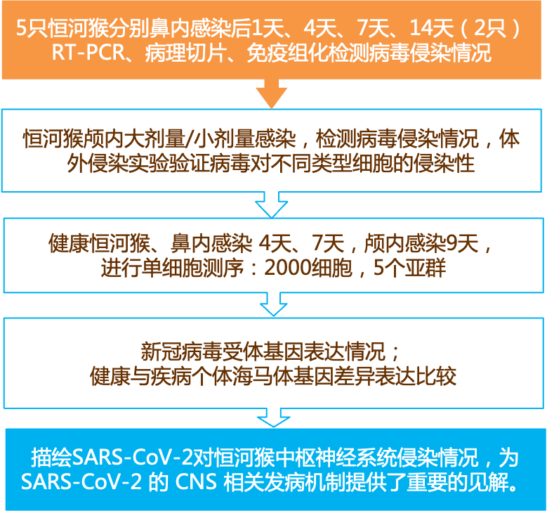 关于新奥免费资料的深入解读与实施赞同释义