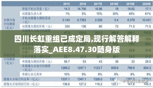 四川长虹重组已成定局，国际视角下的释义、解释与落实