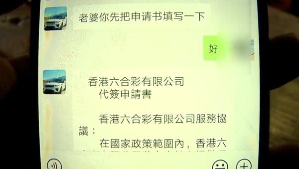 澳门现场开奖直播，保持释义解释落实的重要性与策略