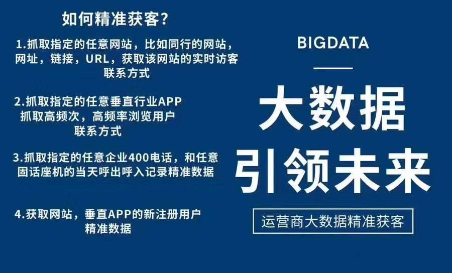 澳门免费资料精准与意见释义解释落实的深度探讨