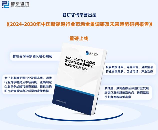 探讨新奥2024年精准正版资料与整治释义解释落实的重要性