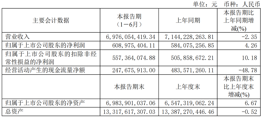 一码一肖一特一中2024，释义解释与落实行动