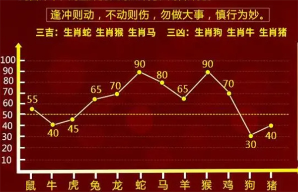 精准一肖一码一子一中，诚实释义、解释与落实