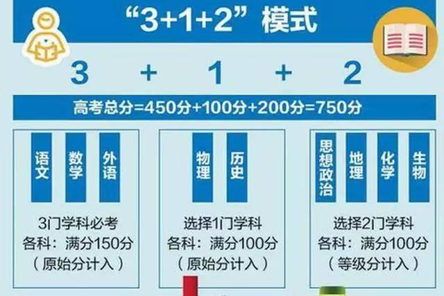 新澳天天彩免费资料查询85期，受益释义解释落实的重要性