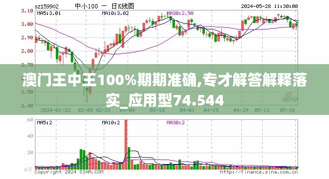 澳门王中王业务释义解释落实深度解析