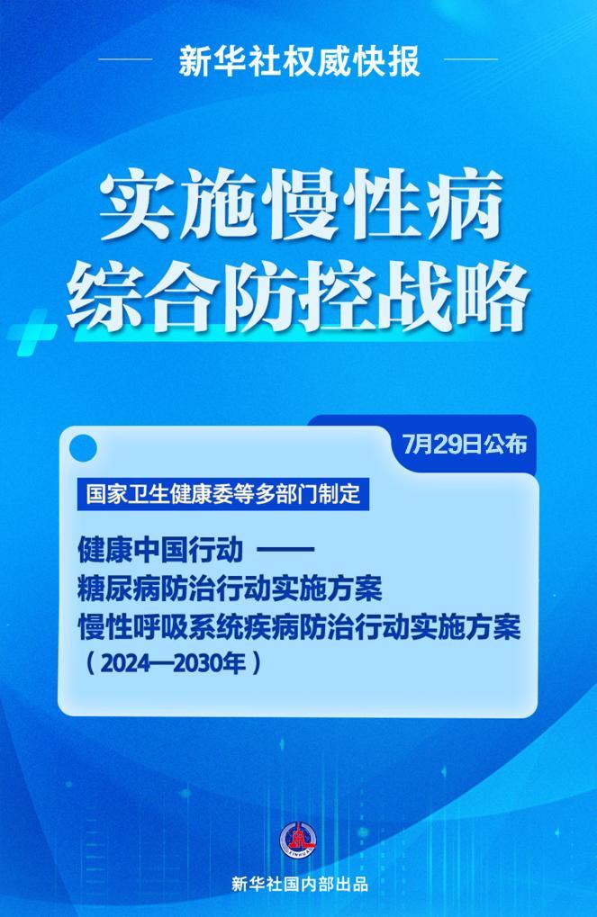 2025新澳最新资料解析与专属释义的落实策略