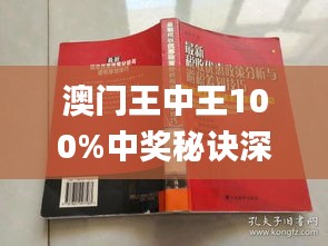 探索澳门王中王背后的故事与未来展望，洗练释义解释落实的历程