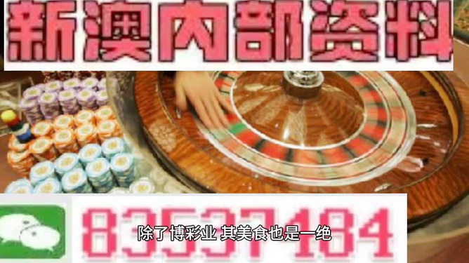 新澳门精准资料大全与管家婆料，释义、应用与落实