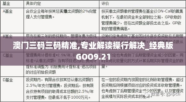 澳门三中三码精准100%，释义解释与落实行动