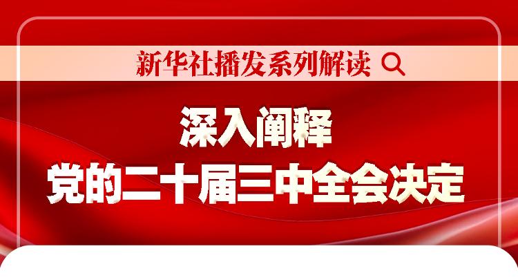 关于2025年管家婆一奖一特一中的深入解读与实际应用探讨