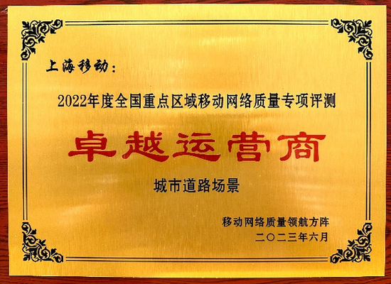 重塑释义解释落实，探索王中王开奖十记录网一与数字世界的新篇章