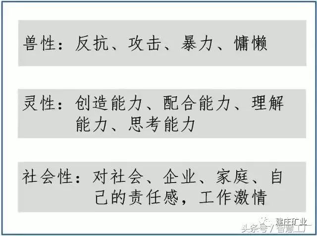 迭代释义解释落实，澳门特马在2025年的新篇章