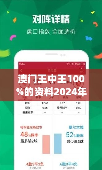 新澳门王中王100%期期中，深奥释义与落实之道