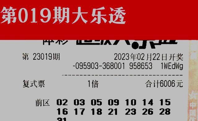 澳门天天开好彩大全第53期，追求释义解释落实的彩票梦想之旅