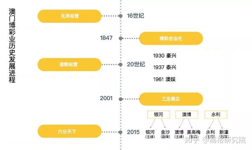 探索数字背后的故事，澳门王中王与洗练释义的落实之旅（2025年展望）