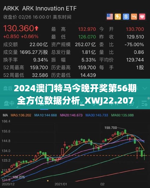 新澳门2025年正版马表，极简释义与实施的深度解析