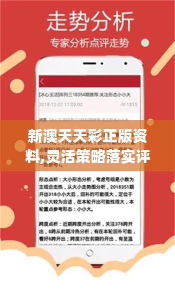 新澳天天彩免费资料与合同释义的落实——揭示背后的风险与挑战