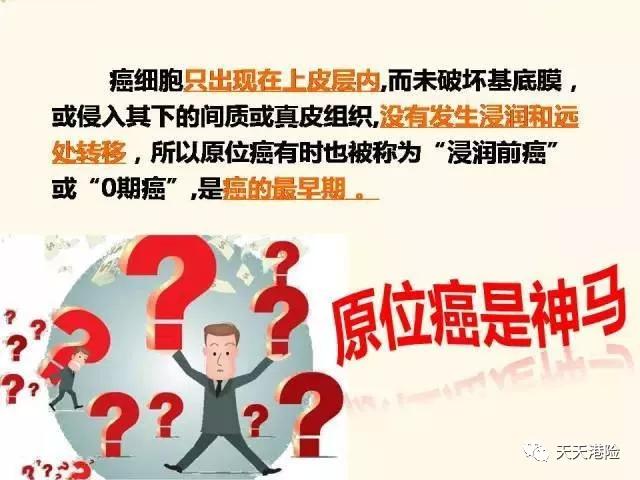 香港特马新纪元，权断释义与落实展望