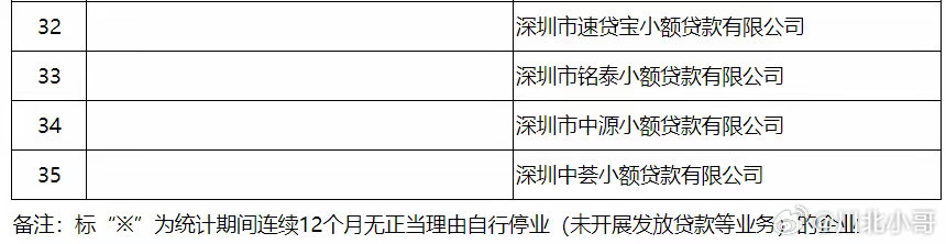 一肖一码一一肖一子深圳，谋算释义解释落实的全方位解读